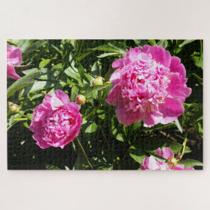 Quebra-cabeça Peônias cor-de-rosa escuro