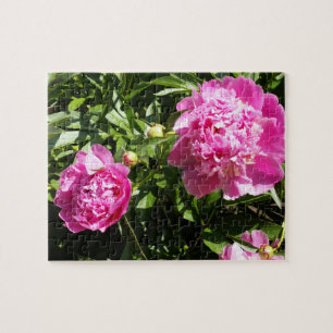 Quebra-cabeça Peônias cor-de-rosa escuro