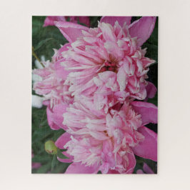 Quebra-cabeça Peônias Rosa