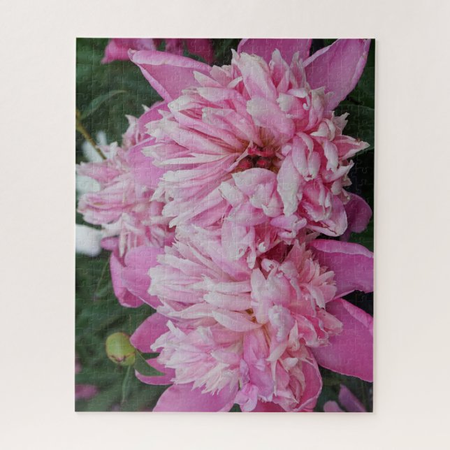Quebra-cabeça Peônias Rosa (Vertical)