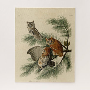 Quebra-cabeça Pequena Coruja das Aves da América de Audubon