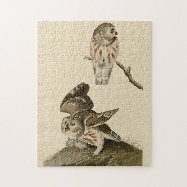 Quebra-cabeça Pequena Coruja (Escaravelho) Aves da América de Au (Vertical)
