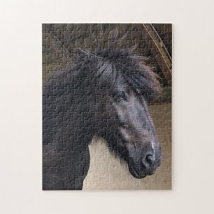 Quebra-cabeça Pequeno Cavalo Nobre Viking Cabeça de Jigserra