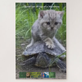 Quebra-cabeça pequeno gato em cima de um Morrocoy.