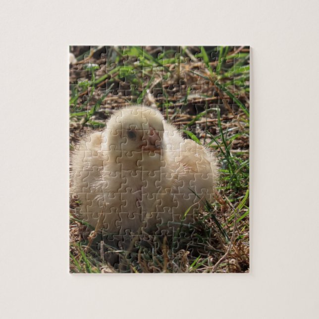 Quebra-cabeça pequeno pintinho de frango, fazenda (Vertical)