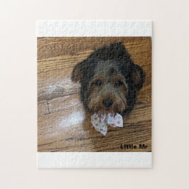 Quebra-cabeça Pequeno Sr.