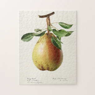Quebra-cabeça Pera (Pyrus Communis) Fruta Moleração de Aquarel