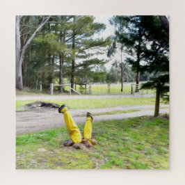 Quebra-cabeça Perdido no Jardim de novo