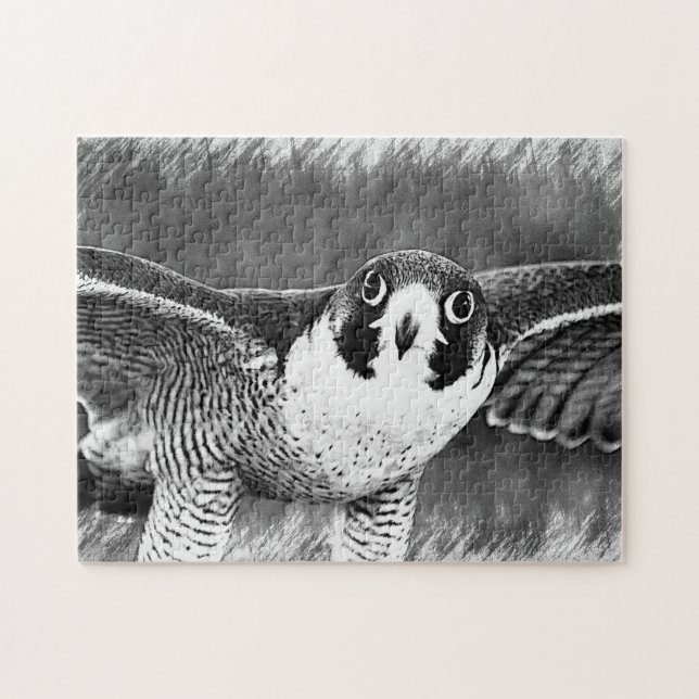 Quebra-cabeça Peregrine Falcon (Horizontal)