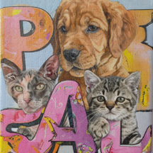 Perfect Pals for your Toddler and Beyond