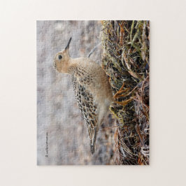 Quebra-cabeça Perfil de um Sanduíche Respirado na Praia