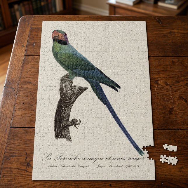 Quebra-cabeça Periquito-de-cauda-longa, Psittacula Longicauda (Long-Tailed Parakeet, Psittacula Longicauda. Jigsaw Puzzle)