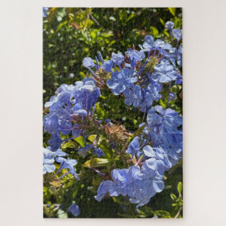 Quebra-cabeça Periwinkle Cape Plumbago, Oakland