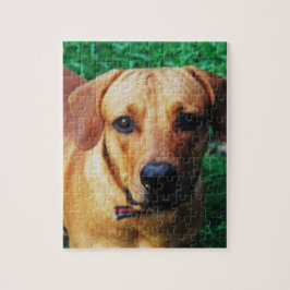 Quebra-cabeça Personalizado de Cachorro com Foto