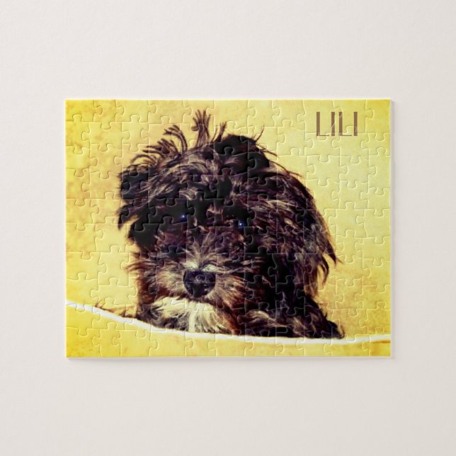 Quebra-cabeça Personalizado Schnoodle (Horizontal)