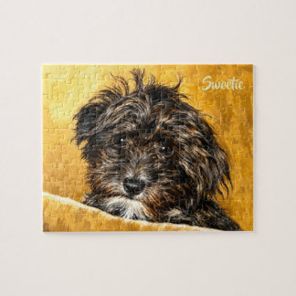 Quebra-cabeça Personalizado Schnoodle 8x10