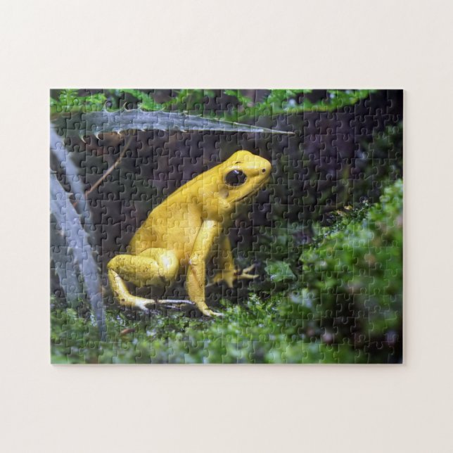 Quebra-cabeça Personalized Custom Photo Jigsaw Puzzle (Horizontal)