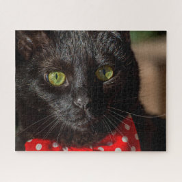 Quebra-cabeça Perto de um Gato Preto