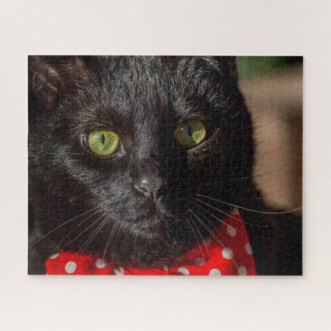 Quebra-cabeça Perto de um Gato Preto (Horizontal)