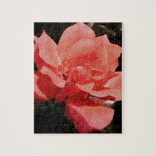 Quebra-cabeça pêssego cor-de-rosa e dewdrops