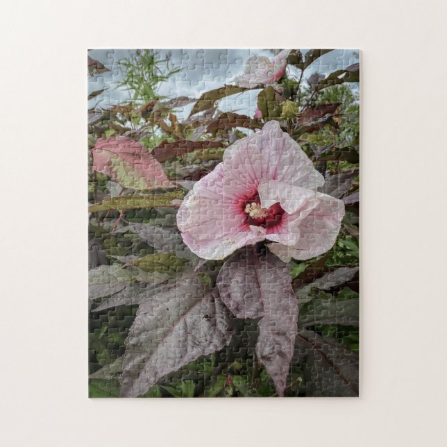 Quebra-cabeça "Pétalas deliciosas" Flor de Hibiscus (Vertical)
