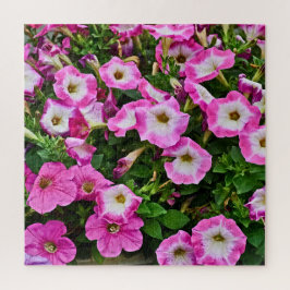 Quebra-cabeça Petúnias rosadas e roxas
