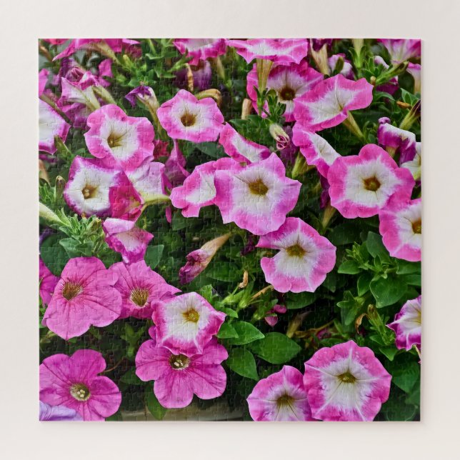 Quebra-cabeça Petúnias rosadas e roxas (Vertical)