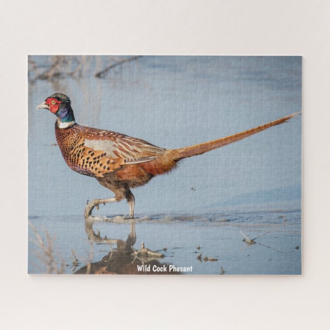 Quebra-cabeça Phesant Selvagem (Horizontal)