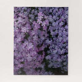 Quebra-cabeça Phlox em Abundância