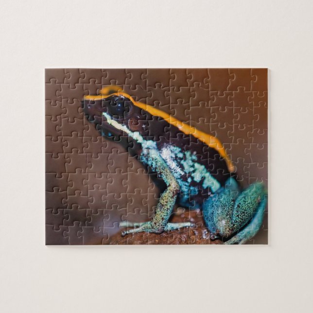 Quebra-cabeça Phyllobates vittatus, um sapo venenoso (Horizontal)