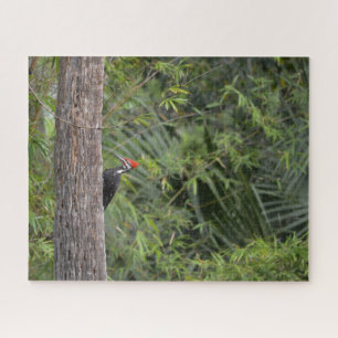 Quebra-cabeça Pica-Pássaro Natureza Selvagem Foto Animal Bastant