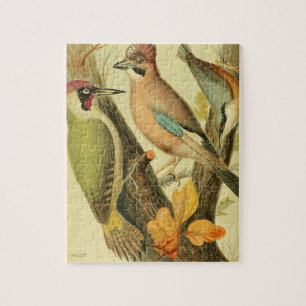 Quebra-cabeça Pica-pau verde-vivo