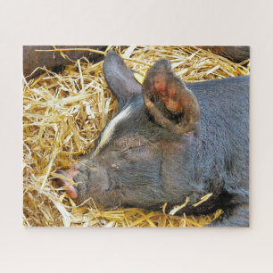 QUEBRA-CABEÇA PIG CUTO