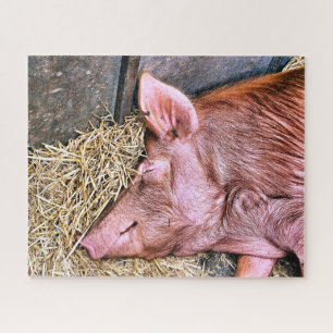 QUEBRA-CABEÇA PIG CUTO