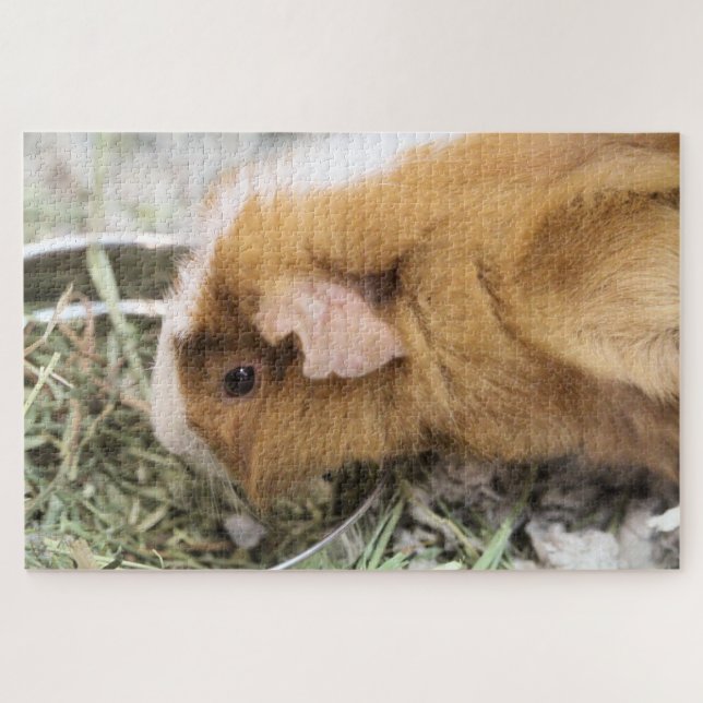 Quebra-cabeça Piggy (Horizontal)