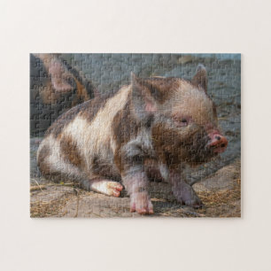 Quebra-cabeça Piglet Kune