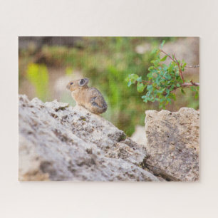Quebra-cabeça Pika