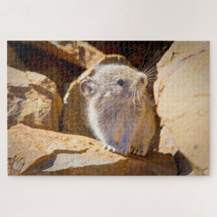 Quebra-cabeça Pika