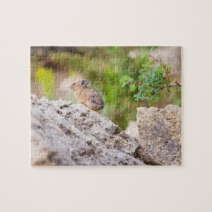 Quebra-cabeça Pika