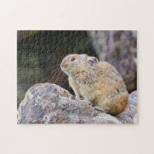 Quebra-cabeça Pika