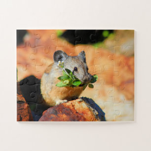 Quebra-cabeça Pika Mastigando Plantas
