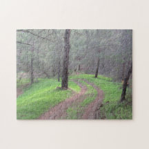 Pine Forest Road