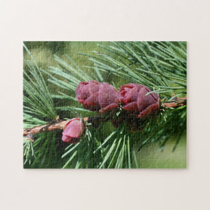 Quebra-cabeça Pine Miniatura Bebê Cones Natureza