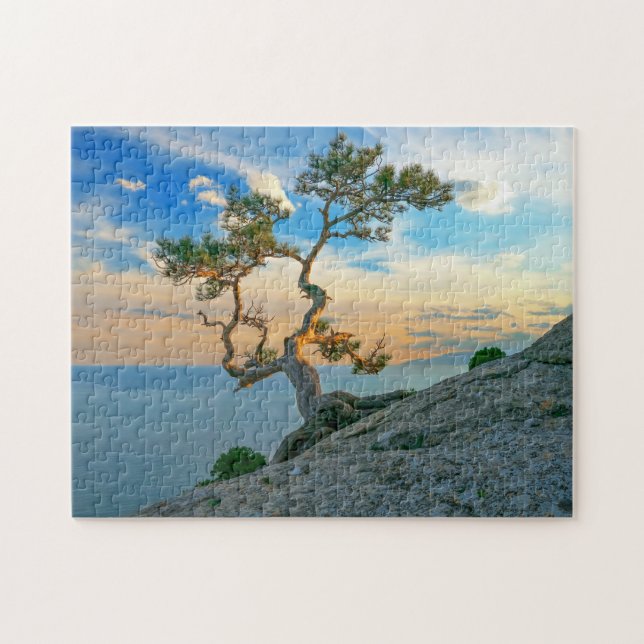 Quebra-cabeça Pine Tree On Rocks Nature Landscape Ocean Sunset (Horizontal)