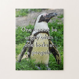 Quebra-cabeça Pinguim Africano