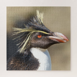 Quebra-cabeça Pinguim com creme ereta