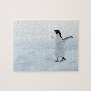 Quebra-cabeça Pinguim de Adelie, a Antártica