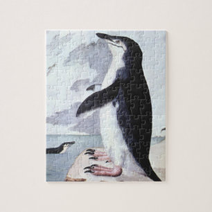Quebra-cabeça Pinguim de Chinstrap do vintage, pássaros da