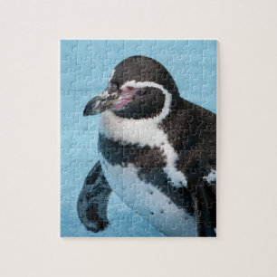 Quebra-cabeça Pinguim-de-magalhães Puzzle