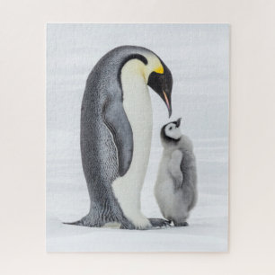 Quebra-cabeça Pinguim e Pintinho em gelo